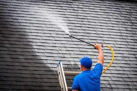 Professional Roofing Steam Cleaning Services Bronx NY